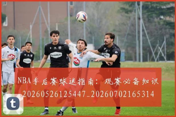 NBA季后赛球迷指南：观赛必备知识_20260526125447_20260702165314