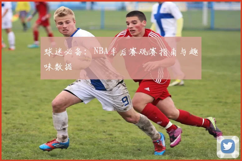 球迷必备:NBA季后赛观赛指南与趣味数据