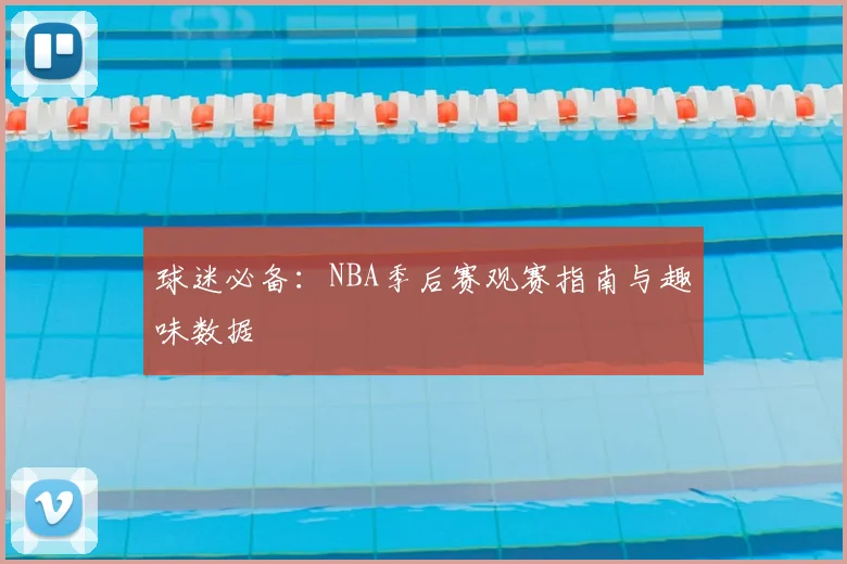 球迷必备:NBA季后赛观赛指南与趣味数据